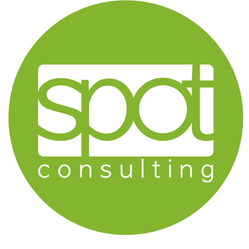 spot consulting